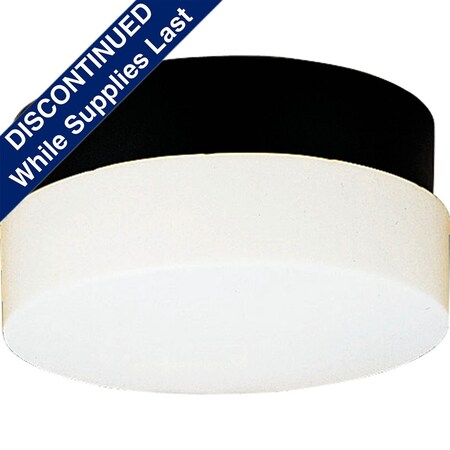 Progress Lighting Hard-Nox Collection 12" Two-Light Wall or Ceiling Fixture P5711-31